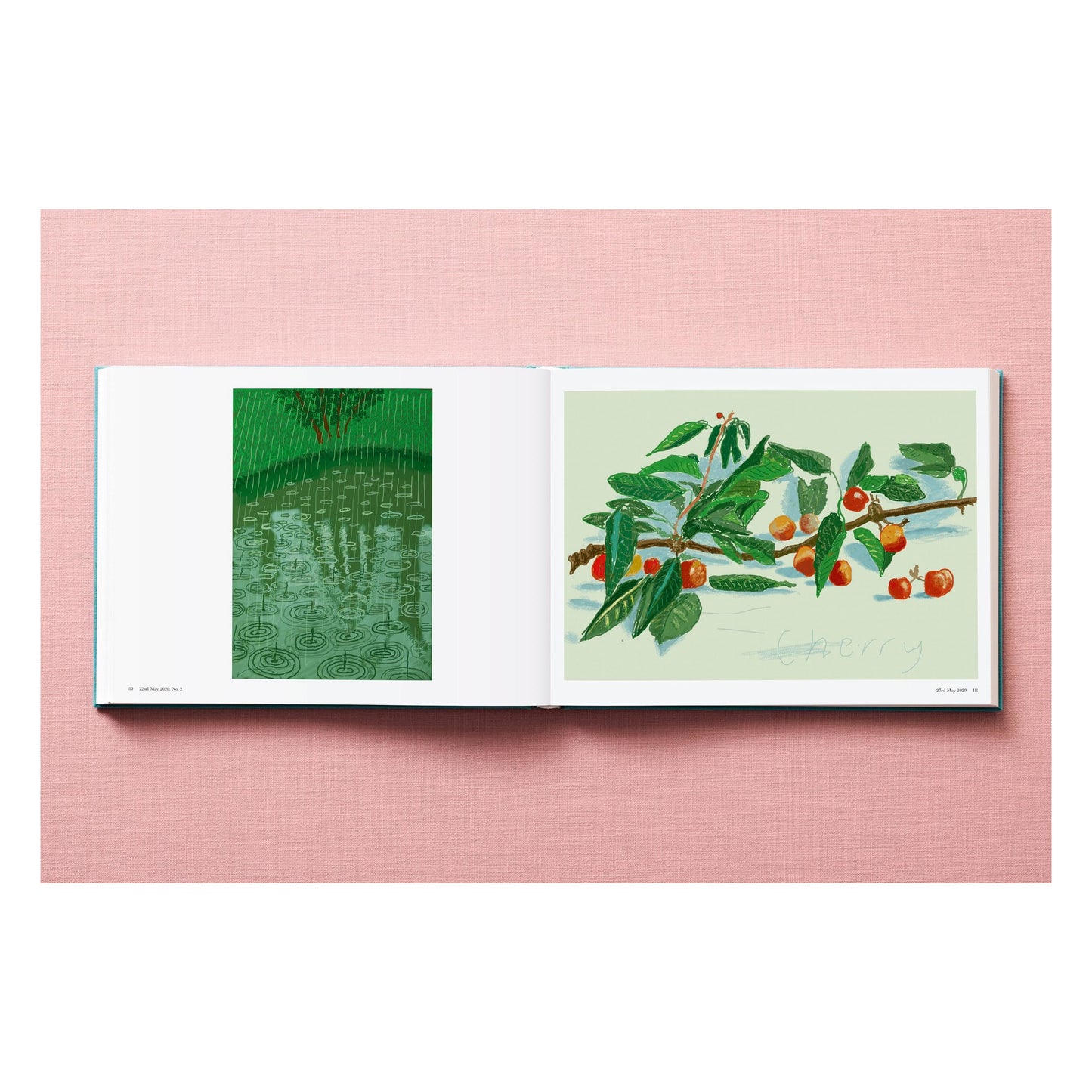 David Hockney. 220 for 2020 (English) Book