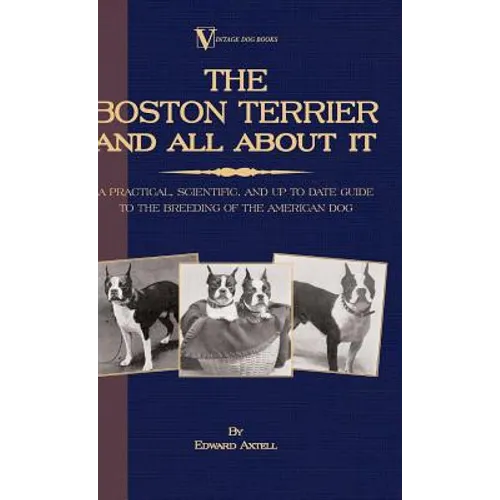 The Boston Terrier And All About It - A Practical, Scientific, And Up To Date Guide To The Breeding Of The American Dog (A Vintage Dog Books Breed Cla