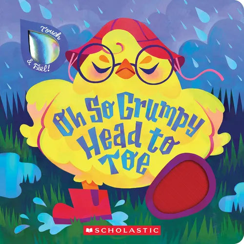 Oh So Grumpy Head to Toe (Touch and Feel)