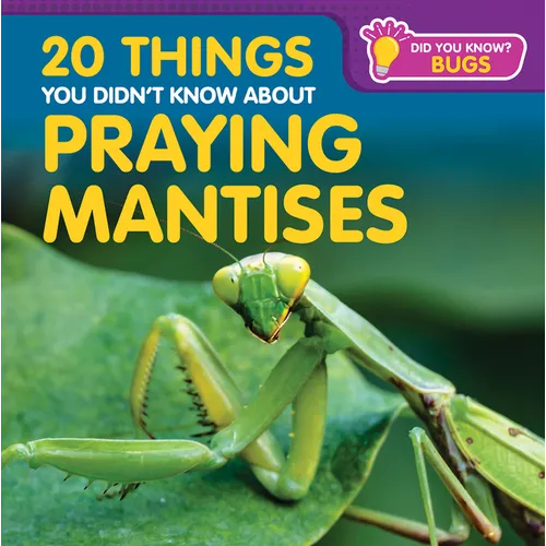 20 Things You Didn't Know about Praying Mantises