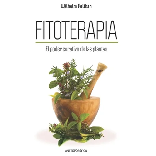 Fitoterapia: El poder curativo de las plantas