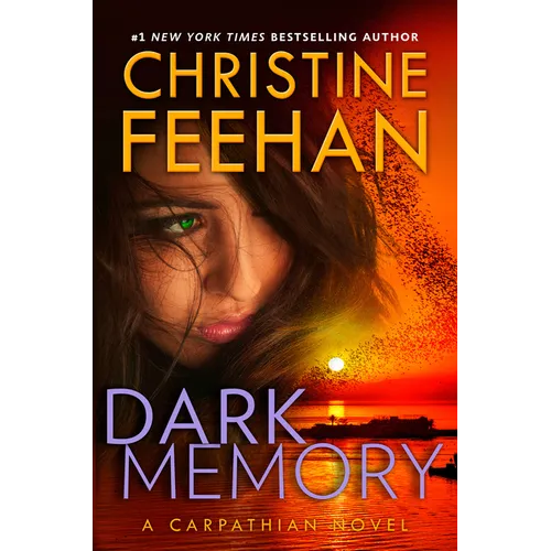 Dark Memory