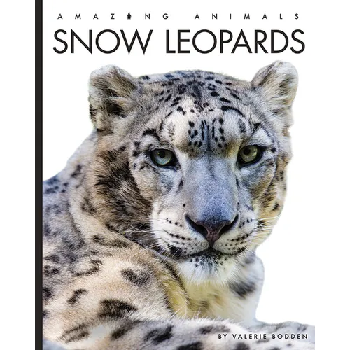 Snow Leopards