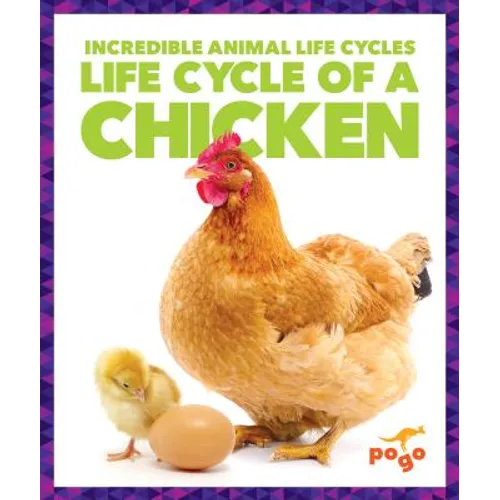 Life Cycle of a Chicken