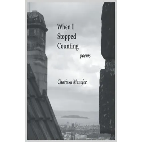 When I Stopped Counting