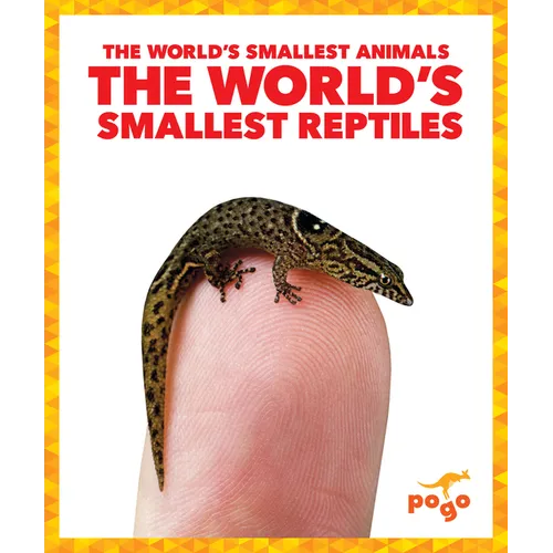 The World's Smallest Reptiles