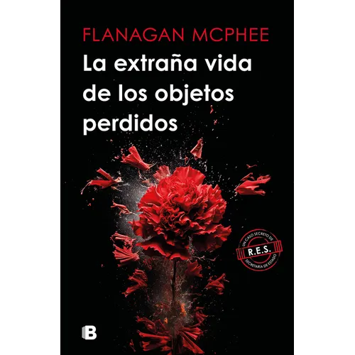 La Extraña Vida de Los Objetos Perdidos / The Strange Life of Lost Objects