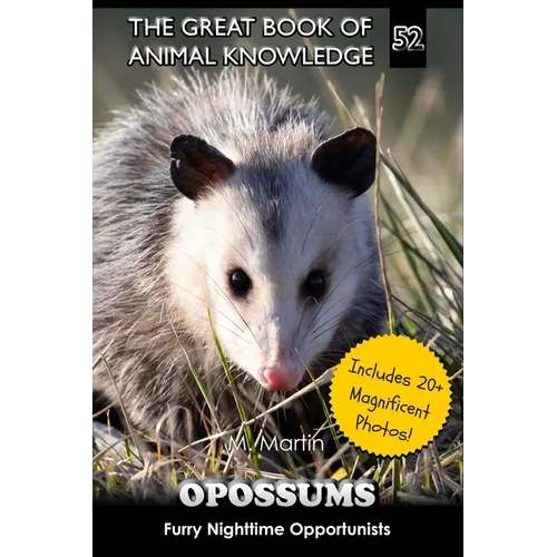 Opossums: Furry Nighttime Opportunists