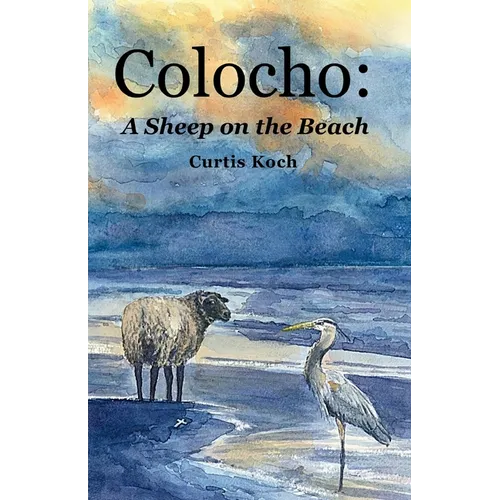 Colocho: A Sheep on the Beach
