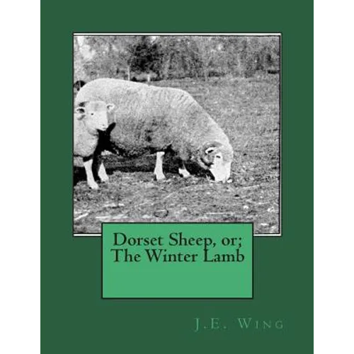 Dorset Sheep, or; The Winter Lamb