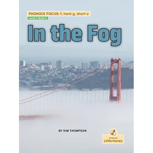 In the Fog