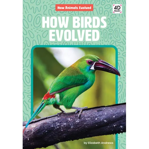 How Birds Evolved