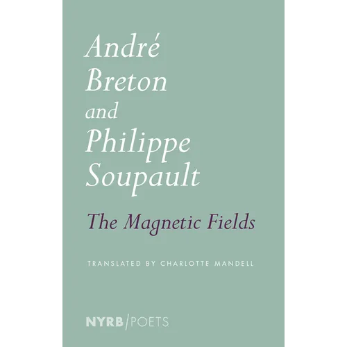 The Magnetic Fields