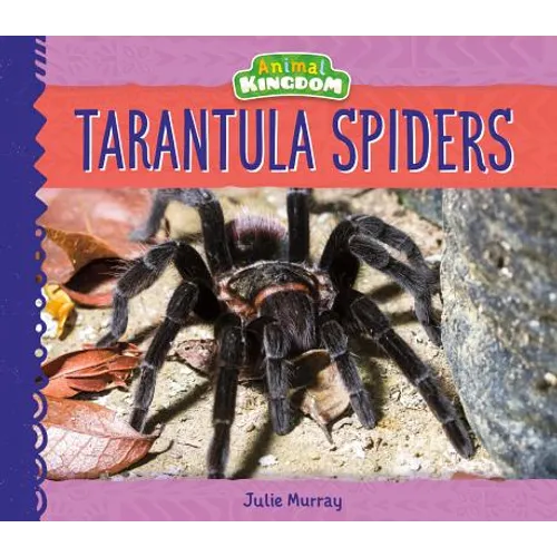 Tarantula Spiders