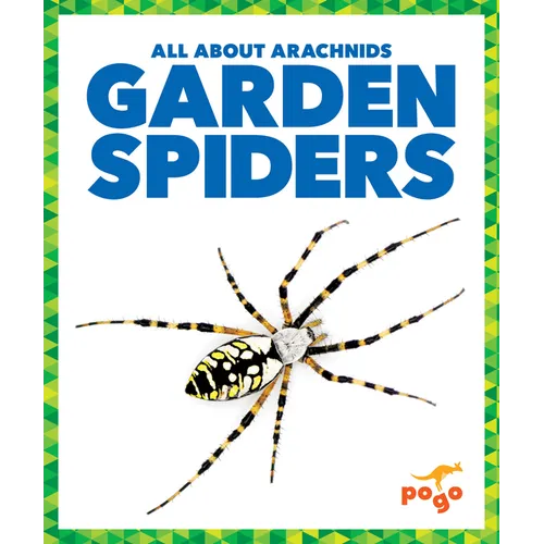 Garden Spiders