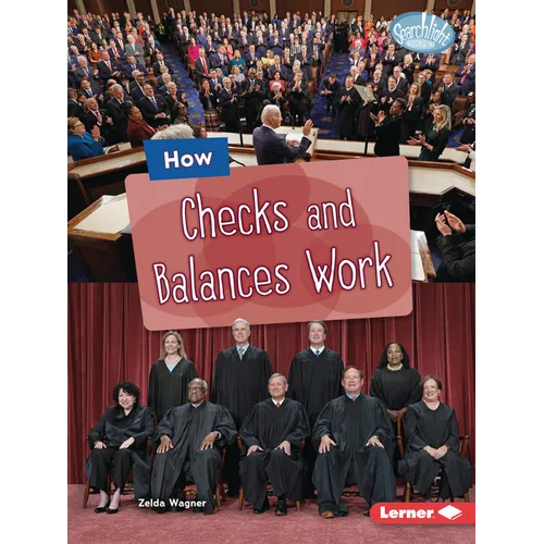How Checks and Balances Work