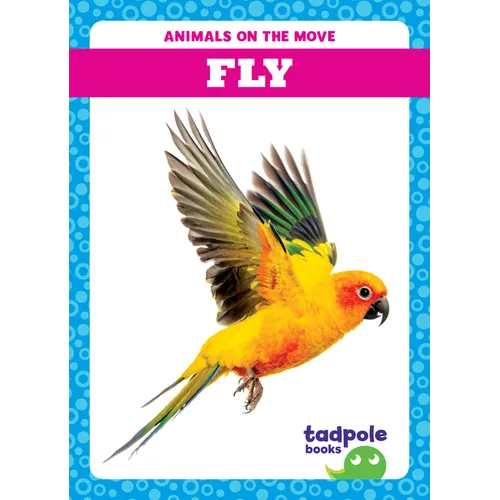 Fly
