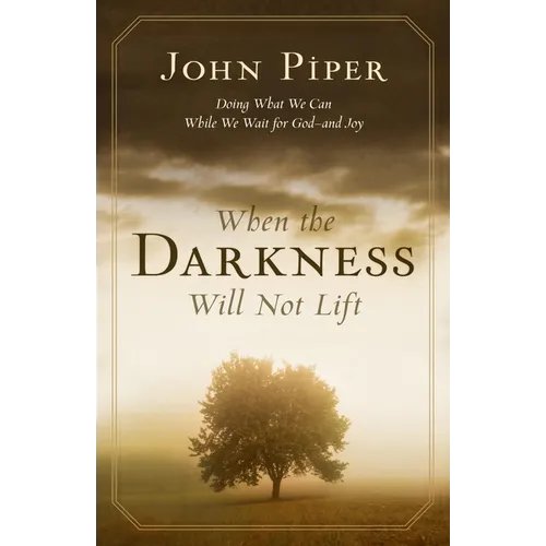 When the Darkness Will Not Lift: Doing What We Can While We Wait for God--And Joy