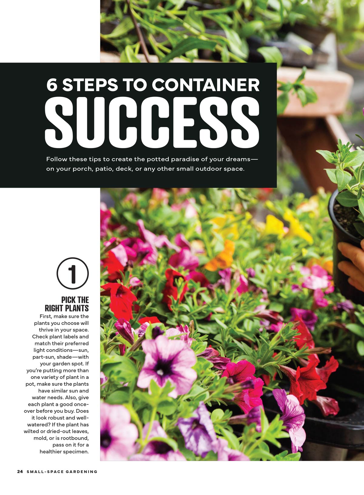 Small Space Gardening -  Big Ideas, Make The Most Of Every Square Inch, Grow Your Own Veggies & Save, Dream Retreats, Create A Haven On Your Deck Patio, Porch Or Backyard, Container Success & More!