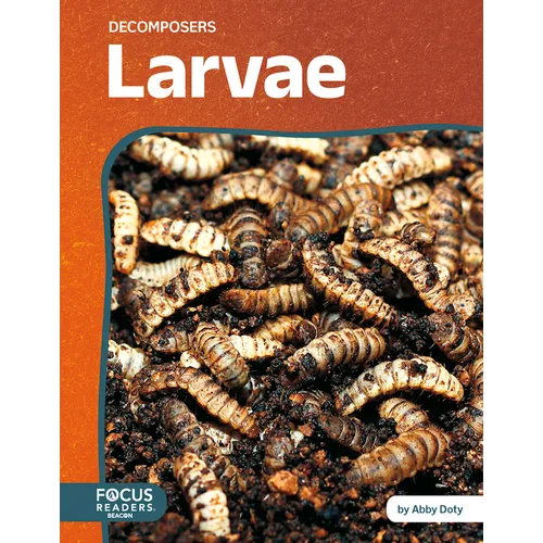 Larvae