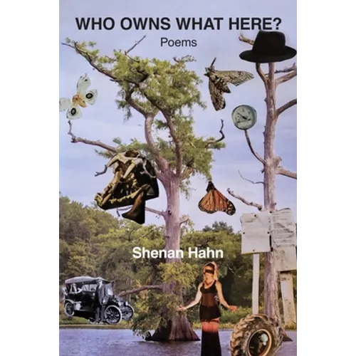 Who Owns What Here?