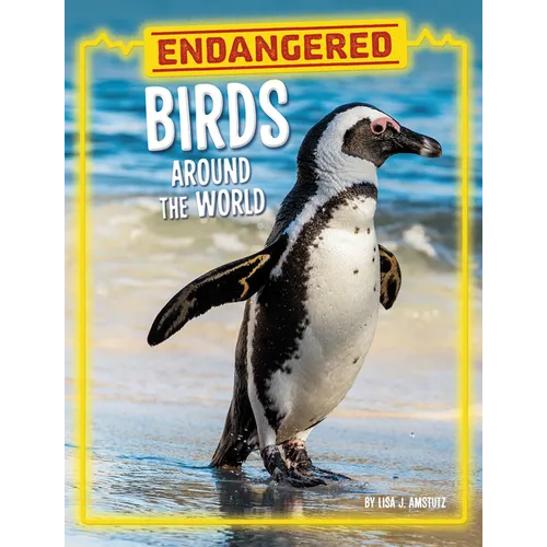 Endangered Birds Around the World