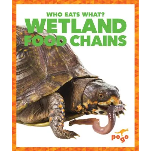 Wetland Food Chains