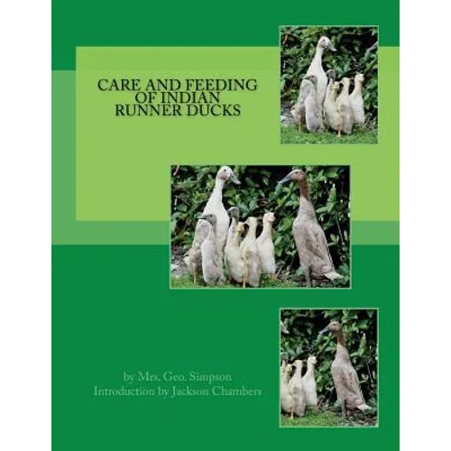 Care and Feeding of Indian Runner Ducks