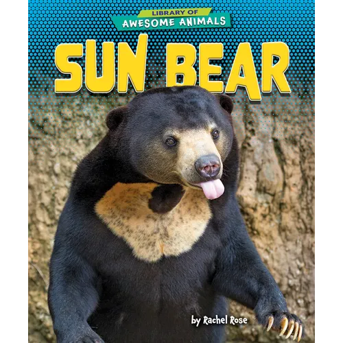 Sun Bear