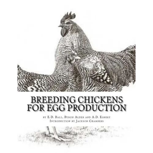 Breeding Chickens For Egg Production