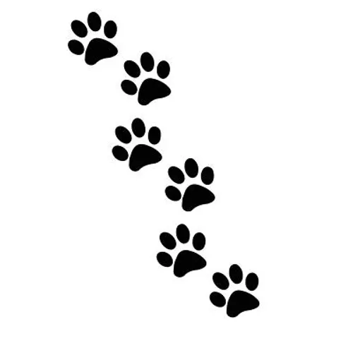 Paw Print Tracks: For Animal Lovers