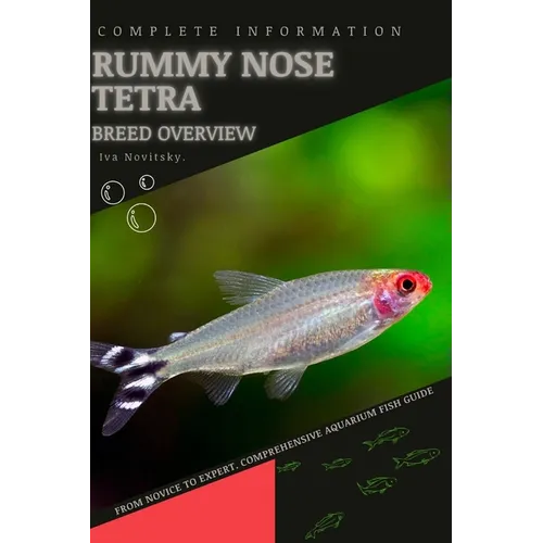 Rummy Nose Tetra: From Novice to Expert. Comprehensive Aquarium Fish Guide