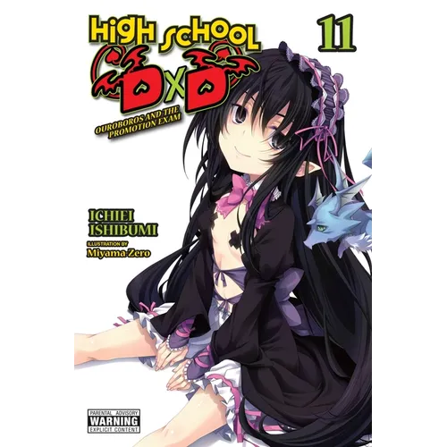High School DXD, Vol. 11 (Light Novel): Ouroboros and the Promotion Exam