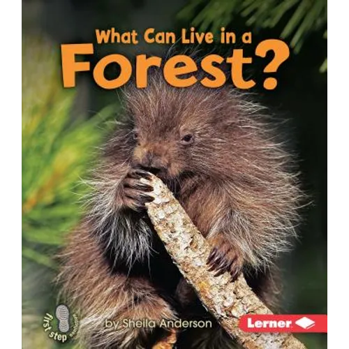 What Can Live in a Forest?