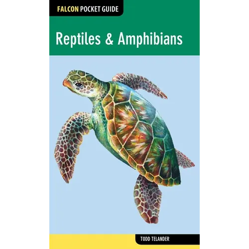 Reptiles & Amphibians