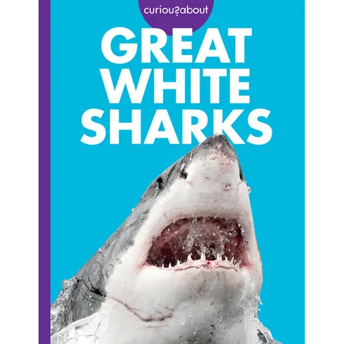 Curious about Great White Sharks