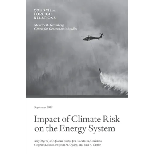 Impact of Climate Risk on the Energy System: Examining the Financial, Security, and Technology Dimensions