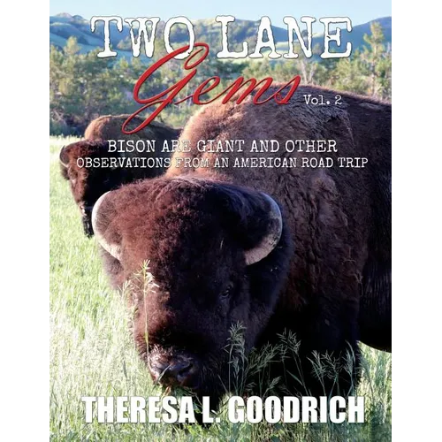 Two Lane Gems, Vol. 2: Bison are Giant and Other Observations from an American Road Trip