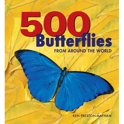 500 Butterflies: Butterflies from Around the World