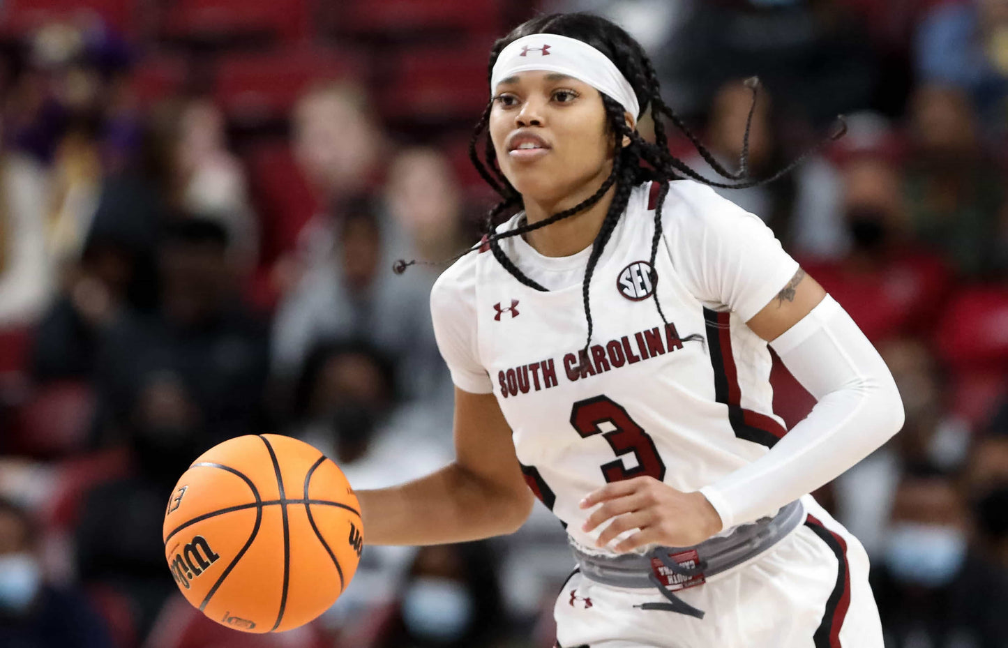 Dawn of a Dynasty: The South Carolina Gamecocks Return to College Basketball Glory with Their Second NCAA Title Book