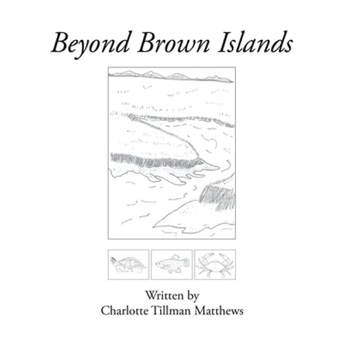 Beyond Brown Islands