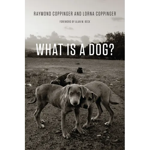 What Is a Dog?