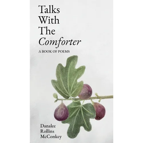 Talks with the Comforter