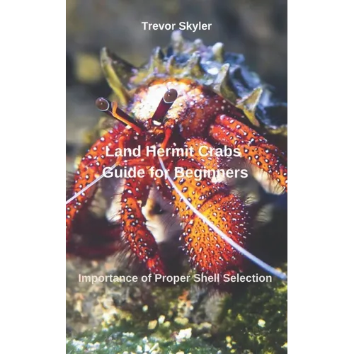 Land Hermit Crabs Guide for Beginners: Importance of Proper Shell Selection