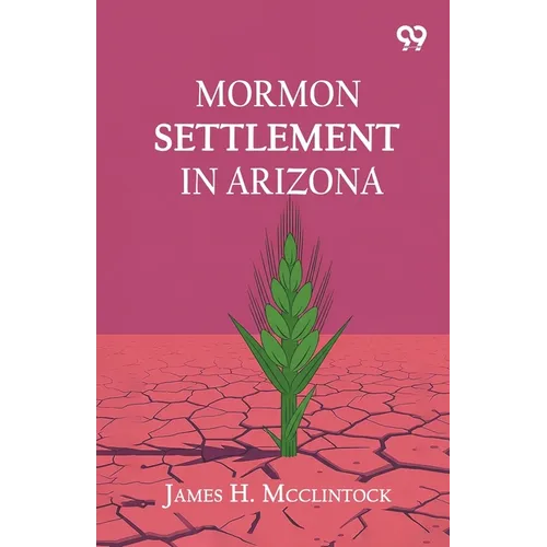 Mormon Settlement In Arizona