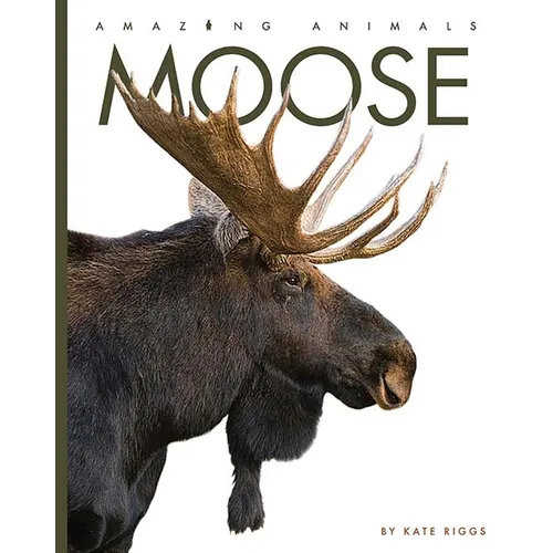 Moose