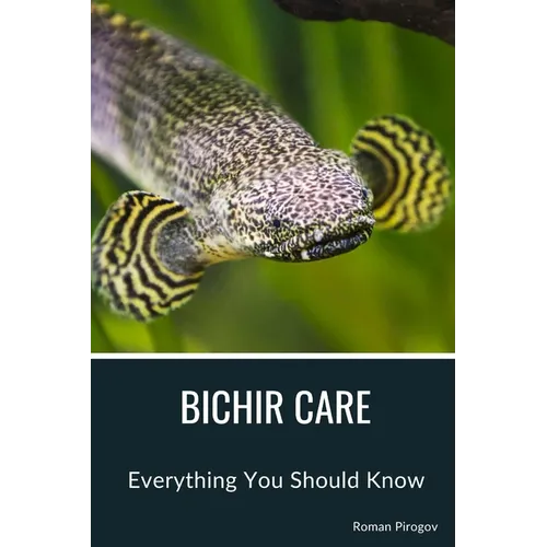 Bichir Care: Everything You Should Know