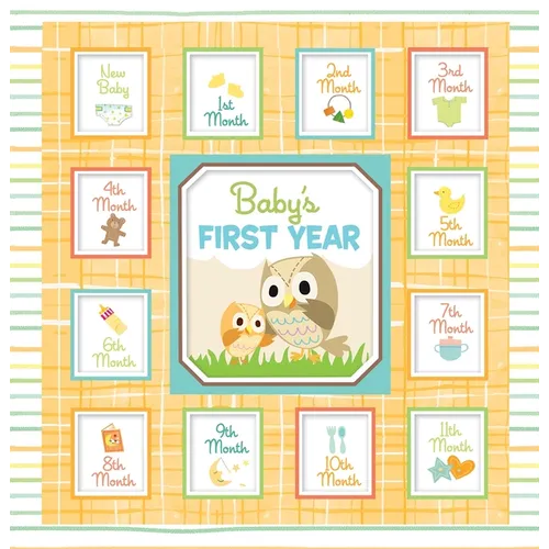 Baby's First Year
