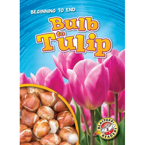 Bulb to Tulip