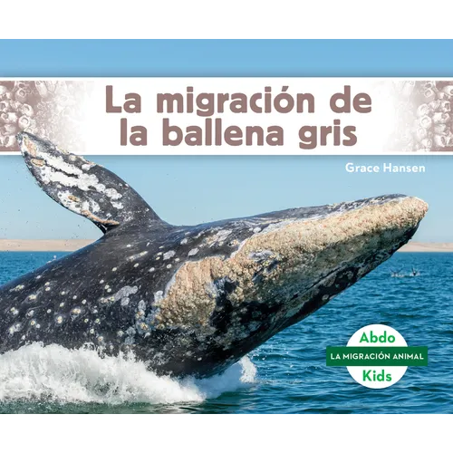 La Migración de la Ballena Gris (Gray Whale Migration)